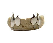 Bottom 4 Custom Serrated Fang Grillz