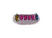 Bottom 6 Enamel Grillz