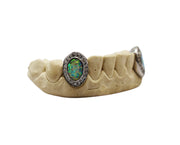 Bottom Kim K Opal Fang Grillz w Diamond Haloes