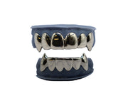 Top 6 and Bottom 6 w Sharp Fangs Front View