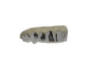 White gold 10-piece top grillz set – Luxe Grillz