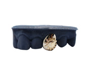 3D Sun Single Tooth Grillz (Two-Tone)