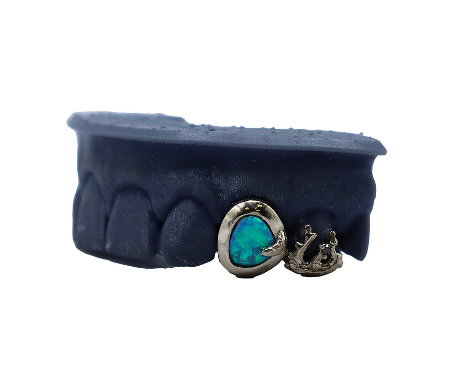 Opal Fang w Abstract Spider Web Molar w Black Diamond