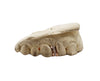 Rail Set Diamond Gap Filler Grillz