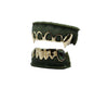Top 6 Open Face Grillz w Sharp Fangs and Bottom 6 Grillz w Abalone Fang