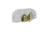 Two Teeth Grillz w Baker Custom Engraving and Diamond Cut Fang