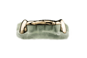 Bottom 6 Bridge Grillz 18K Yellow Gold