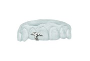 Dragon Gap Grillz and Gap Filler
