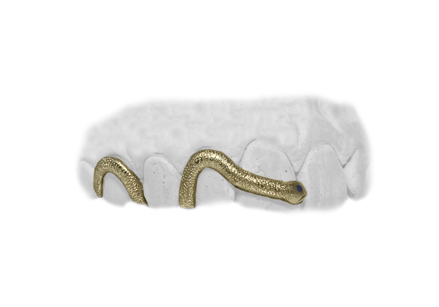 Custom Engraved Snake Grillz w Blue Sapphire Eye in 14K Yellow Gold
